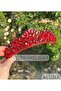 Aluna Ruby Red Crystal Stone Luxury Design Engagement Bridal Tiara Metal Crown with High Authentic Motif - 2