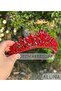 Aluna Ruby Red Crystal Stone Luxury Design Engagement Bridal Tiara Metal Crown with High Authentic Motif - 3