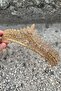 Daniela Gold Bridal Henna Crown Special Occasion Accessory Women's Crown Hair Accessory – Crown, Crystal Stone - 3