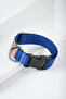 Set of 10 Dog Collars |   Adjustable, Durable, Handmade, Domestic Production - 6