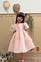 Powder Karolin Balloon Skirt Balloon Sleeves Ribbon Girl's Baby Girl Dress - 6