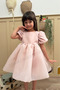 Powder Karolin Balloon Skirt Balloon Sleeves Ribbon Girl's Baby Girl Dress - 7