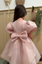 Powder Karolin Balloon Skirt Balloon Sleeves Ribbon Girl's Baby Girl Dress - 8