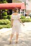 Women's Ruffle Collar Chiffon Dress - 4