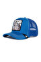 Stripe Earner - 2
