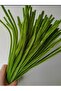 100 Pieces Army Green Chenille, Feathered Wire Suitable for Flower Making, 30 cm 6 mm