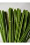 100 Pieces Army Green Chenille, Feathered Wire Suitable for Flower Making, 30 cm 6 mm - 2