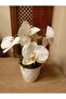 White Orchid Flower Stylish Decorative Artificial Flower in a 5-Candle Diamond Patterned Pot - 3