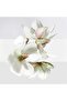 Un Jardin Sur La Lagune by Hermes Eau De Toilette Spray 3.3 oz for Women - 8