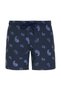 Men's Swim Shorts 1515056