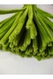 50 Pieces of Light Army Green Chenille, Feathered Wire Suitable for Flower Making, 30 cm 6mm - 3