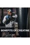 500 G Nutrition Creatine Monohydrate Powder, Unflavored (100 SERVINGS) - Micronized Creatine Mono - 7