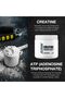 500 G Nutrition Creatine Monohydrate Powder, Unflavored (100 SERVINGS) - Micronized Creatine Mono - 5