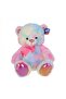Plush 55 cm colorful bear