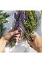 Nature Strong Nail Polish Quick Dry Vegan Nail Polish with Long-Lasting Results, Purple - Eco-Maniac - 4