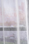 Polari Tulle Curtain 300X270 Off White - 3