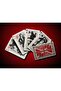 Rolling Stones Playing Card - 2
