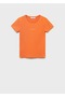 Cotton Logo T-Shirt - 3