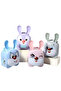Locked Metal Ear Piggy Bank - 2