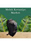 Odc Backpack - 2