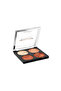 Cheek Kit