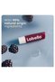 Lip Balm Blackberry Shine 24H Melt-In Moisture with Shea Butter and Natural Oils 4.8 g - 3