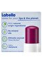 Lip Balm Blackberry Shine 24H Melt-In Moisture with Shea Butter and Natural Oils 4.8 g - 6