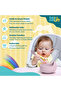 BabiesBasic Feeding Set, 6 Piece, Silicone Plate, Bowl, Bib, Spoon , Fork and 2 in 1 Cup - Blush - 3