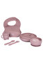 BabiesBasic Feeding Set, 6 Piece, Silicone Plate, Bowl, Bib, Spoon , Fork and 2 in 1 Cup - Blush