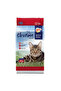 Dry Cat Food Salmon Flavor 10 kg