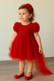 Baby Girl,Child Red Dress Short Sleeve Bowknot Birthday,Party Wedding,Special Occasion, Lined - 5