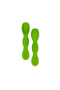 BabiesBasic Soft Tip BPA Free Silicone First Stage Training Spoons - Green