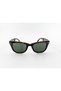 4105 710/31 50 Unisex Sunglasses - 3