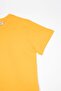 Crew Neck Dark Yellow Color Boy's Tshirt - 4