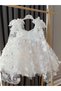 Babyaden Three-Dimensional Butterfly Tulle Fluffy Tutu Skirt with Bow Birthday Graduation Girl Dress - 4
