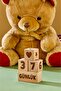Baby Mother Memory Cube Decor Set of 4 Wooden Baby Memory Cubes Set - 5