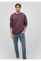 Crew Neck Purple Basic Sweatshirt 0S10276-70260