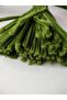 100 Pieces Army Green Chenille, Feathered Wire Suitable for Flower Making, 30 cm 6 mm - 3