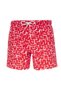 Men's Swim Shorts 1515052