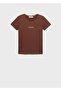 Cotton Logo T-Shirt - 3