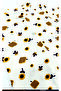 Bees and Honey Printed Unisex Baby Jumpsuit - 2