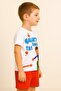 Boy's Character Printed Shorts Set - Cotton, Pocket, Elastic Waist - Summer Children's Set - 2