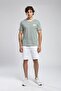 Eddy Men's 100% Cotton O Neck T-Shirt Ecru-Smalt Striped