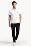 Basic Regular Fit Premium Cotton Logo Polo Shirt