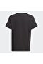 تي شيرت Essential 3 Striped Regular Fit - 2
