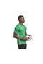 Tabela 23 Jsy Men's Football Shirt IA9147 Khaki - 5