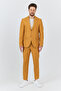 Alfredo Men's Yellow Spring-Summer Slim Fit 2'Li Suit - 7