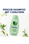 Shampoo 7 Otlu, Schauma 7 Krauter 400 ml - 5