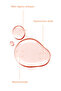 Brightening, Anti-Blemish and Anti-Blackhead Kojic Acid Tonic 200 ml - 4