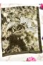 Bohemian Series Bohemian Pattern Cotton Digital Soft Shawl - Green - 4